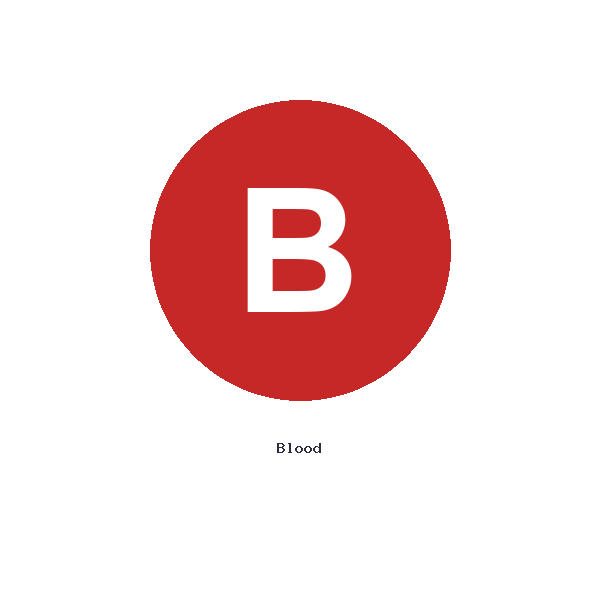 Digital Blood Pressure Monitor