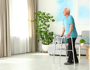 Elderly Mobility Support
